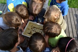 Kinder sitzen um eine Schale und gucken sich den Inhalt an