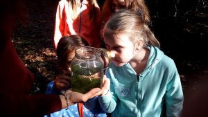 Kinder gucken mit Lupen in ein Glas