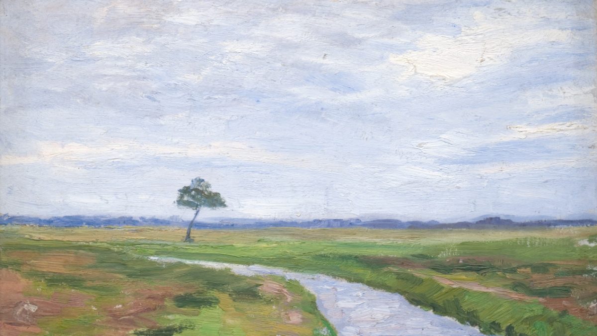 Wiesenlandschaft mit einem Baum und einem Kanal